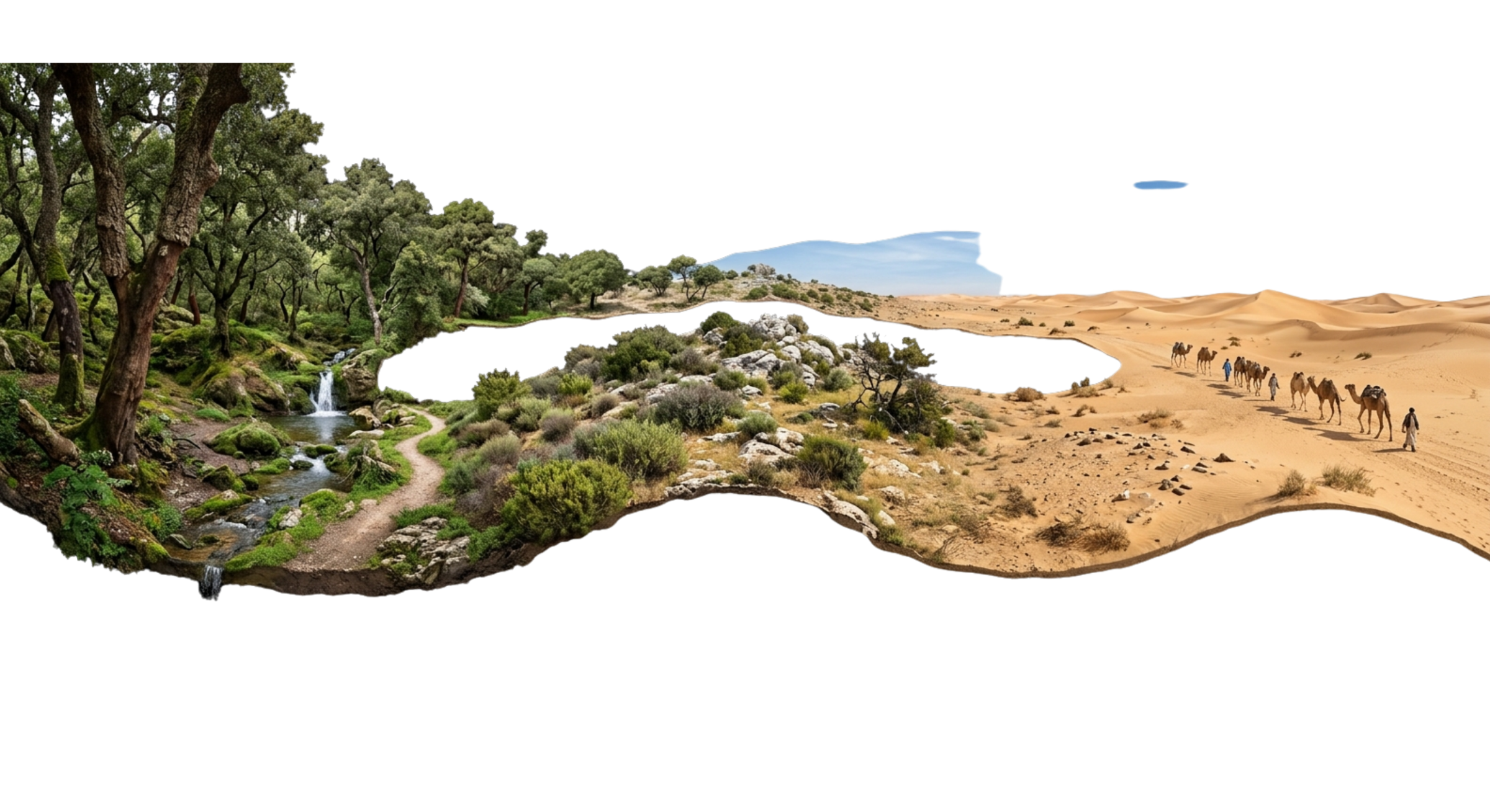 A cross-section of the North African landscape — forest and stream giving way to a salt lake and desert dunes