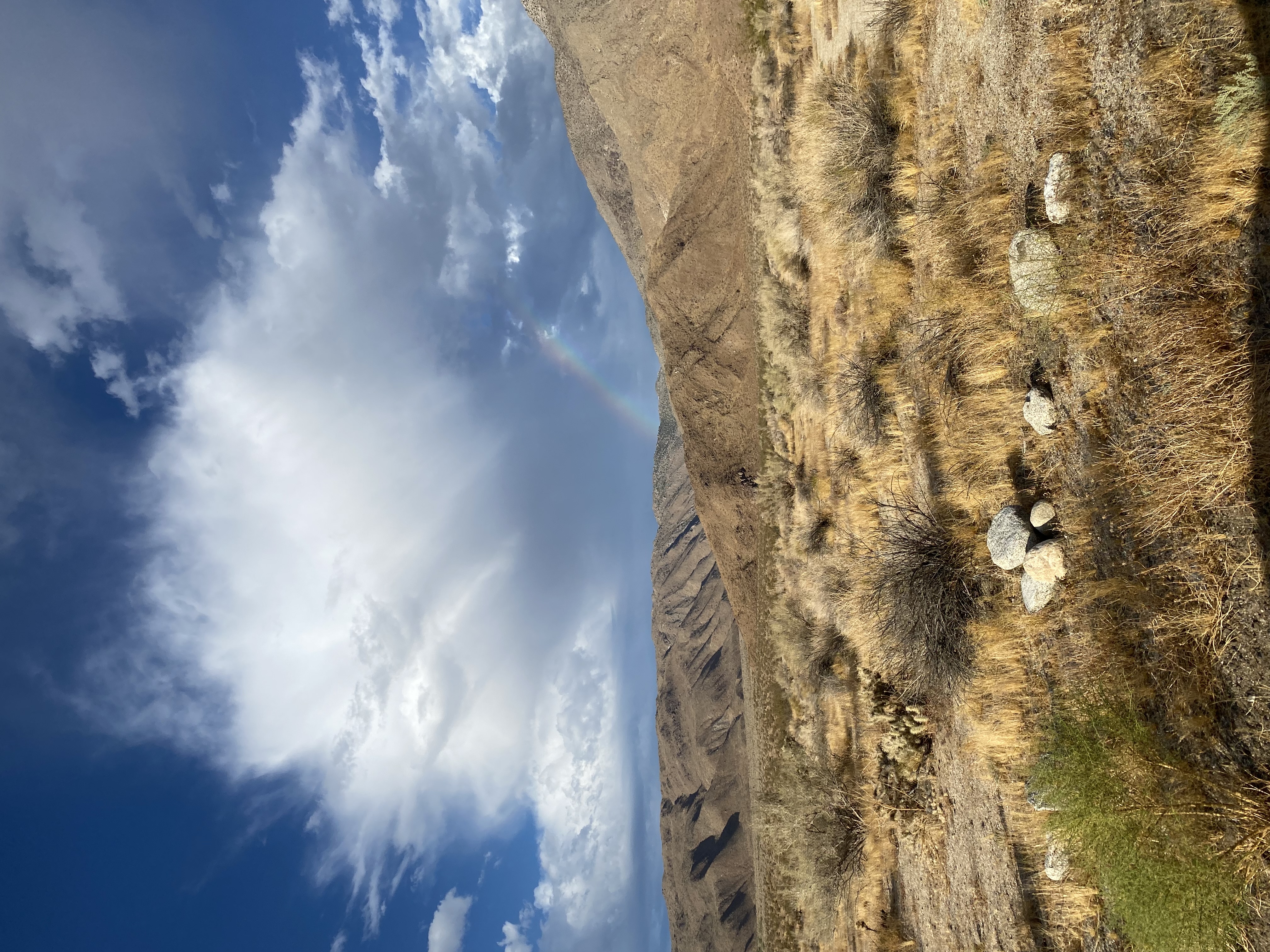 Rainbow over the Anza-Borrego Desert