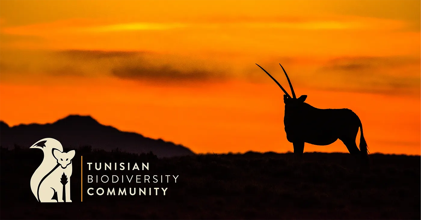 The Tunisian Biodiversity Community, Small Steps for Unity.