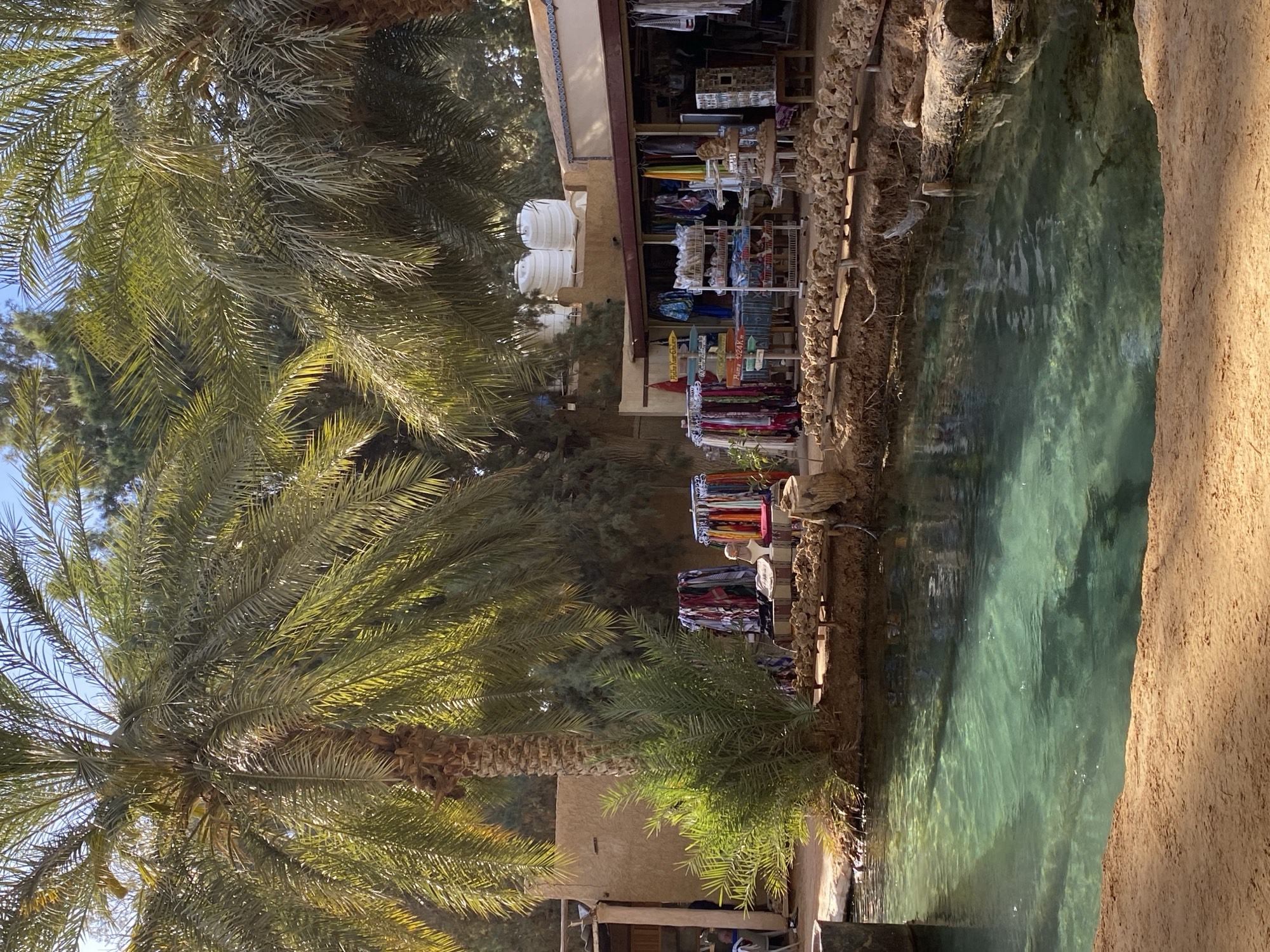 Ksar Ghilane oasis with water and date palms
